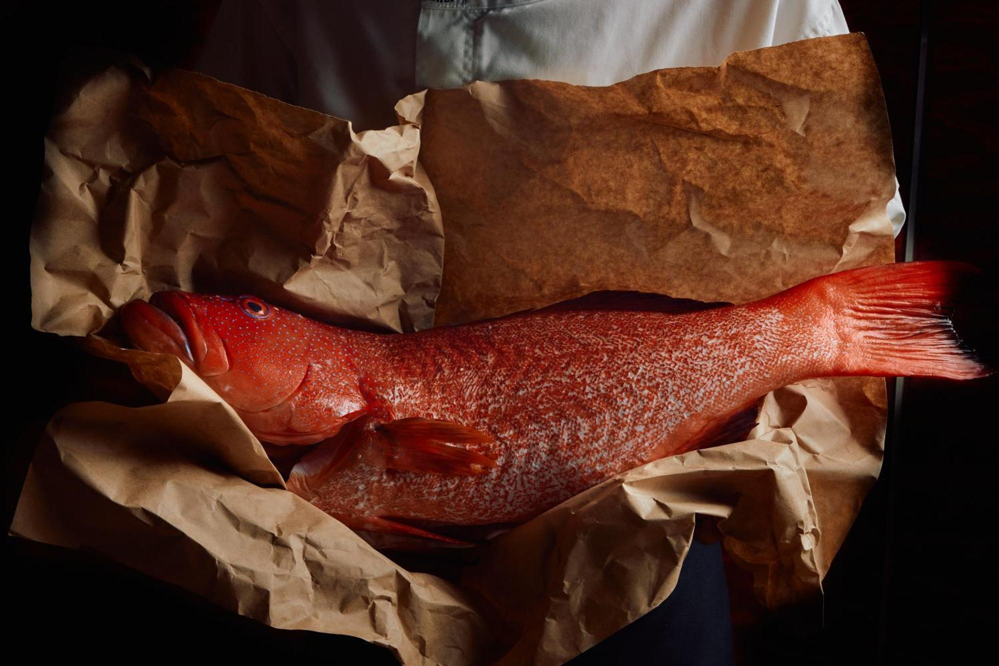 بارك حياة ملبورن المظهر الخارجي الصورة A smoked turbot